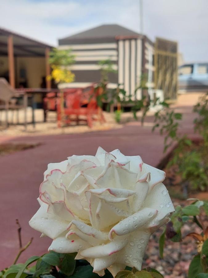 Wadi Rum Oryx Hostel & Tours Exterior foto